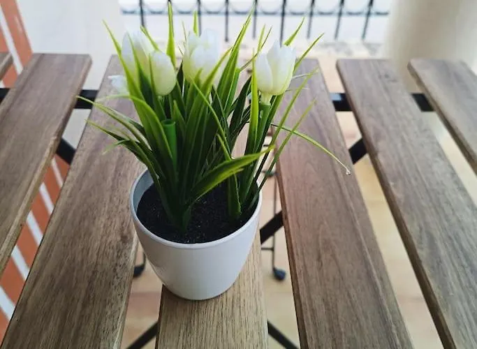 Casa Verilia Olombrada